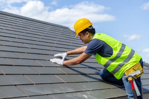 Trusted Wheat Ridge, CO Roofing Contractor Experts